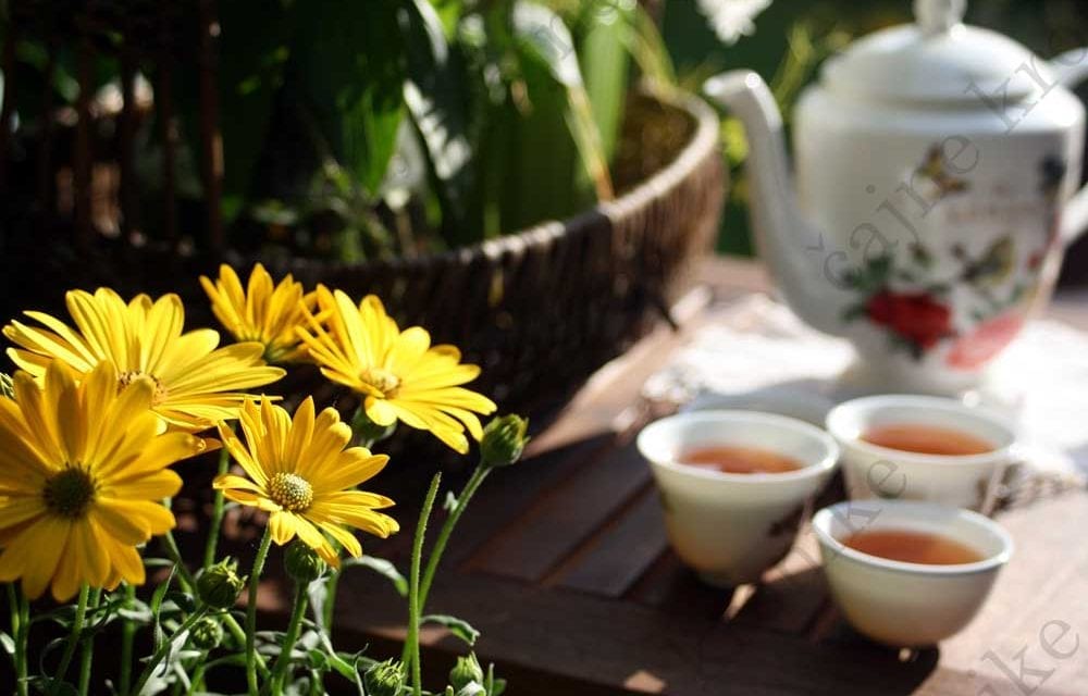 Red Buffalo Vietnamese oolong tea – Hatvala
