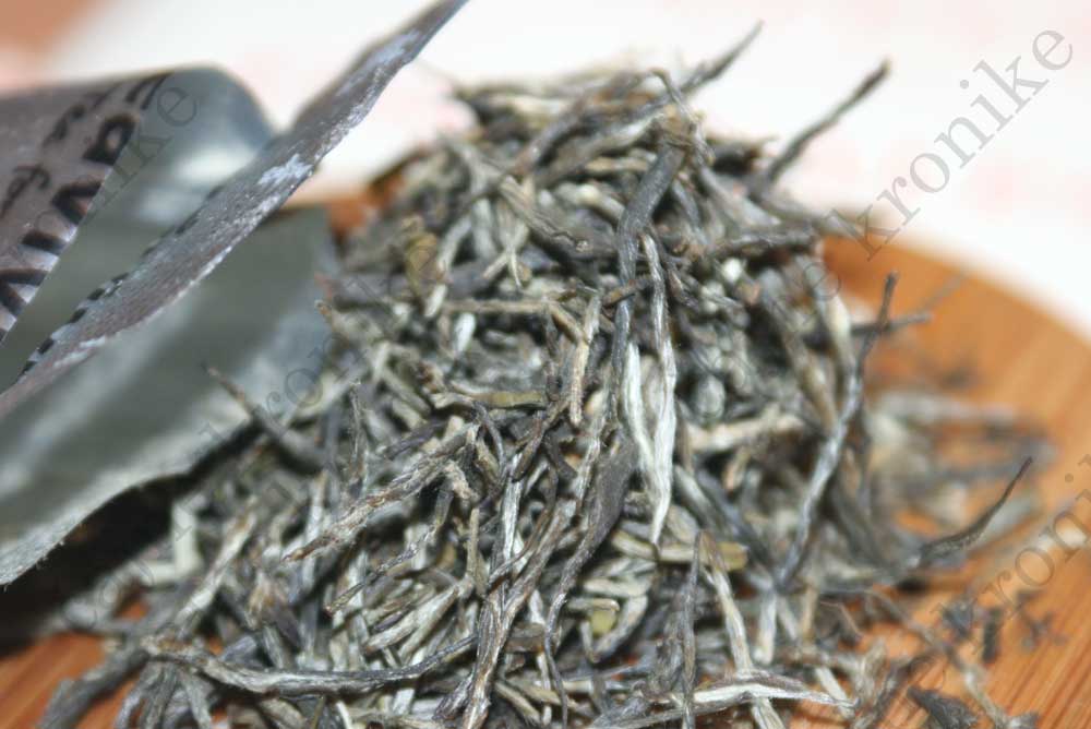 Xin Yang Mao Jian green tea