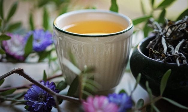 Castleton Moonlight Darjeeling First Flush White Tea – Vahdam Teas
