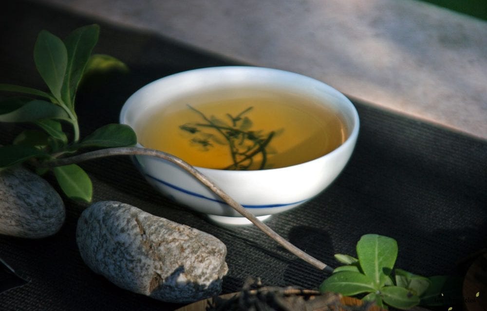 Wild Thai Green – New Mexico Tea Company
