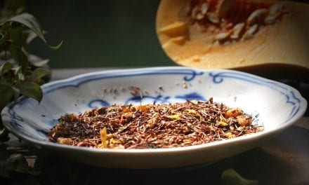 Pumpkin Cream Flavored Rooibos Tea – Confet-Tea