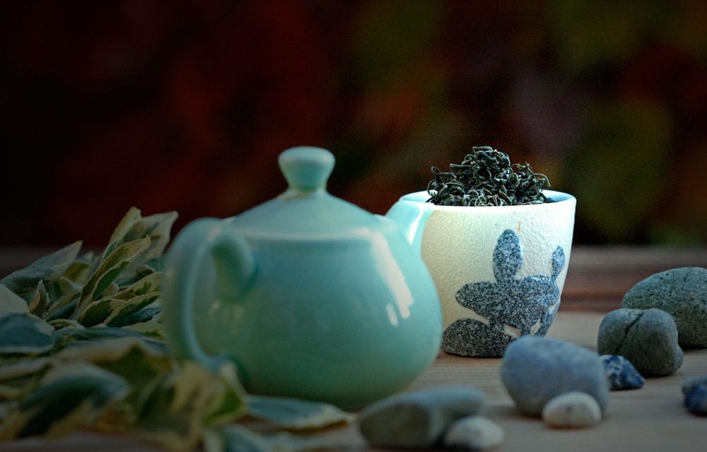 Laoshan Bat Shandong Green Tea – Teabento