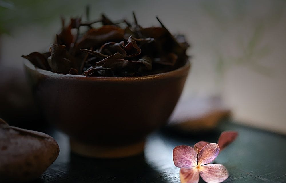 Classical Oriental Beauty – Tea Repertoire