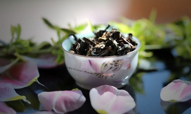 Oolong Tea from Hawaii – Pacific Oolong – Tea in the City